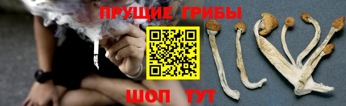 Псилоцибиновые грибы мухоморы  Вход с VPN  Среднеуральск 